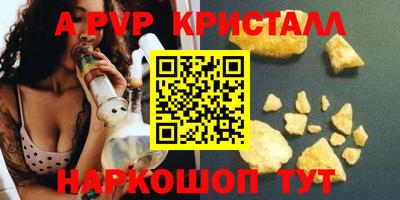 прущие грибы Будённовск