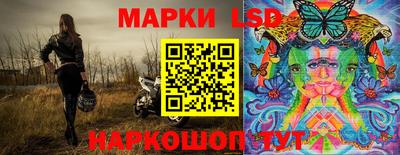 прущие грибы Будённовск