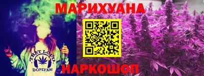 прущие грибы Будённовск