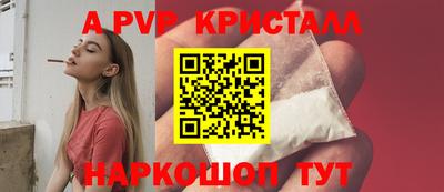 прущие грибы Будённовск