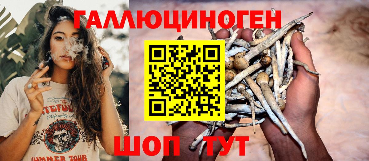 Псилоцибиновые грибы мухоморы Чебоксары